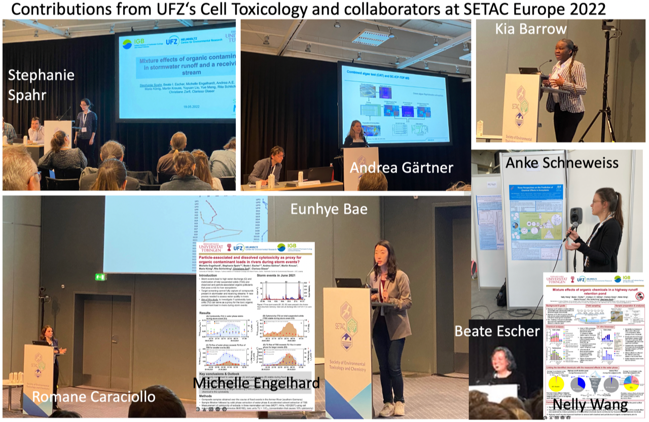 Zelltox bei der SETAC 2022